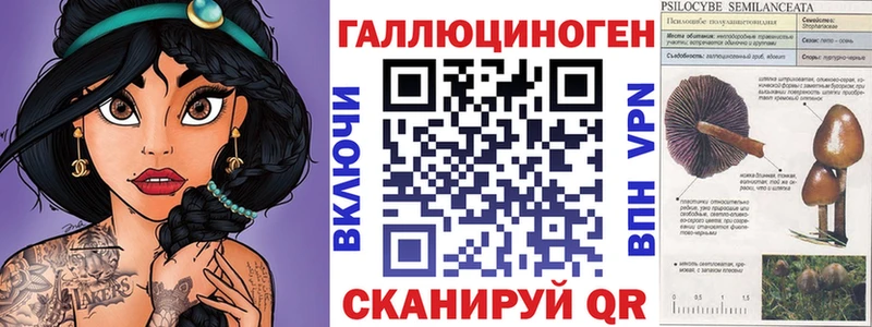 Псилоцибиновые грибы Psilocybe  где купить   Родники 